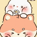 _fifi27
