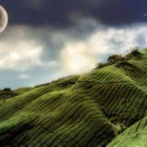sky_dreamer_