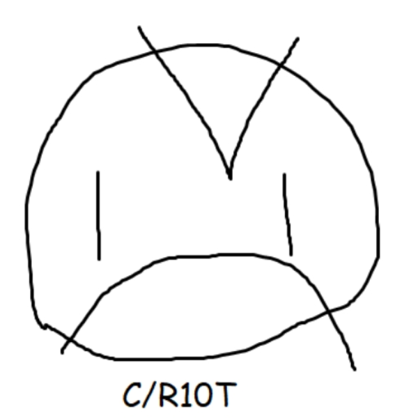 CyberR10t