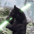 Abeardeen