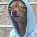 abeloucho