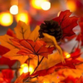 abroyland_gmail_com