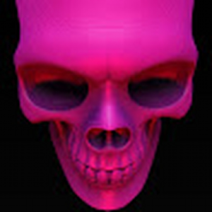 TheSkullyOne