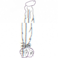 penisdragon `',