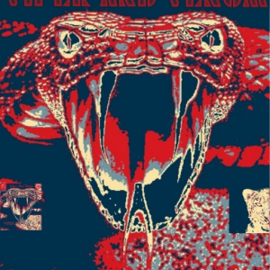 Viper and Venom