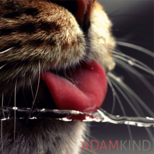 AdamKind