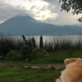 AdriLeo