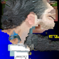 adrisbillelo_gmail_com