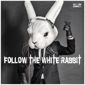 Aimar11