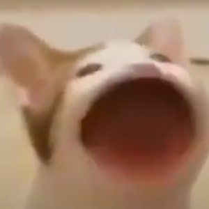 ajaxthedishsoap9