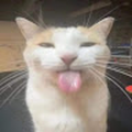Alex_Butter