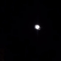 alex_chernov