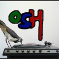 Osh