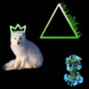 Neon Fox