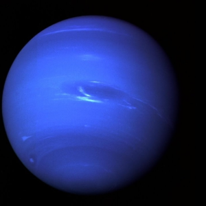 AlienfromplanetNeptune