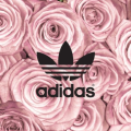 alison_mills_evsck12_com