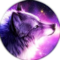 aliviaj_nhaweb_com