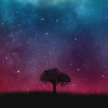 Allen-Nella