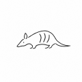 Alma_official