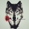 alphawolf1516