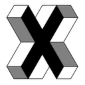 ambiguX