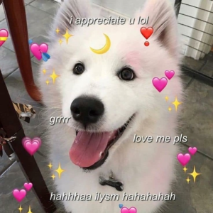 Gemini_Ash