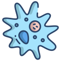 amoebabop