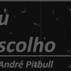 Andre2013