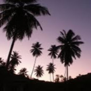 andreagoded