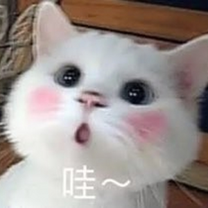 Andych