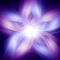angelica_campaortega_evsck12_com