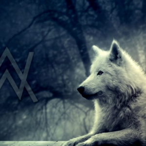 Animuswalker