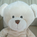 anne_arktis