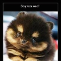 anthony_narrea