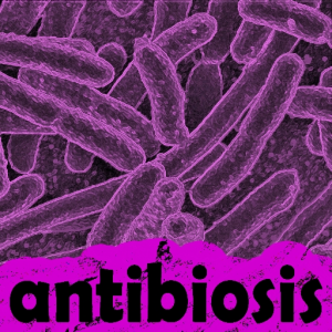 [antibiosis]