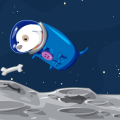 Space doggy