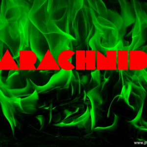 Arachnid|inactive