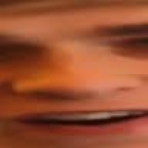 Ark_
