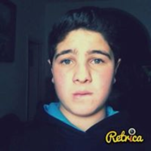 ashrefd