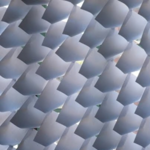 Austin Kotting