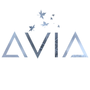 Aviahelm