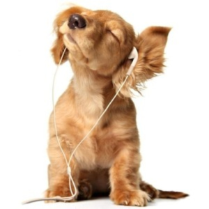 Awesometunes