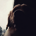 awhtut2011_gmail_com