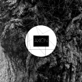 AXION