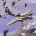 b17g