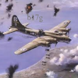 b17g