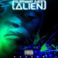babebleeda_gmail_com