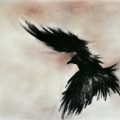 Avenge_Sevenfold_forever