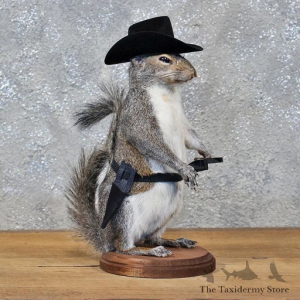 BACKYARDSQUIRREL