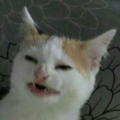 chingwong
